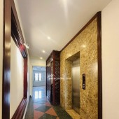  MẶT PHỐ LINH LANG 2 THOÁNG SỔ ĐẸP GARA ÔTÔ KINH DOANH ĐỈNH 100m2 x 7T MT 45m HƠN 48 TỶ